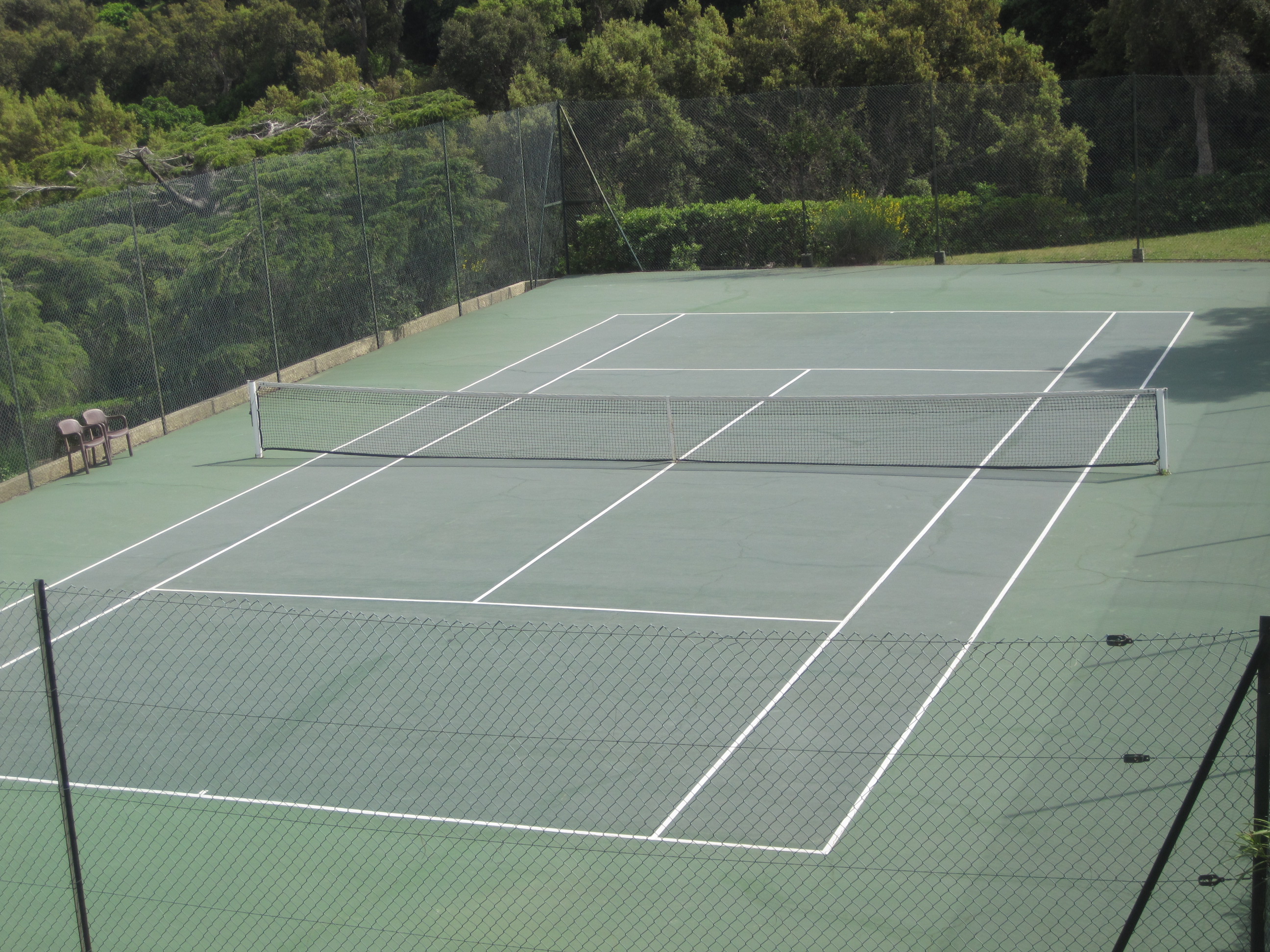 tennis1